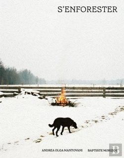 Bertrand.pt - S'Enforester