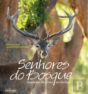 Senhores do Bosque
