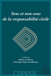 Sens Et Non-Sens De La Responsabilité Civile