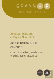 Sens Et Représentation En Conflit