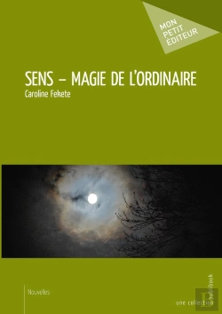 Bertrand.pt - Sens ; Magie De L'Ordinaire
