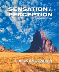 Sensation And Perception