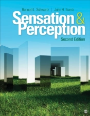 Sensation And Perception