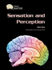 Sensation And Perception