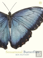 Sensational Butterflies