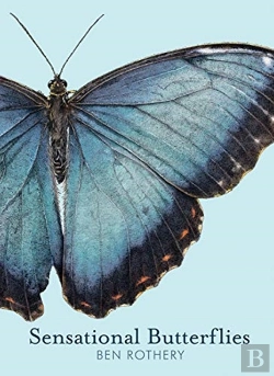 Bertrand.pt - Sensational Butterflies