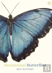 Sensational Butterflies