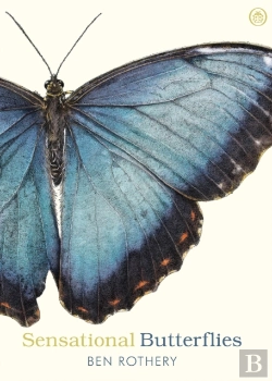 Bertrand.pt - Sensational Butterflies
