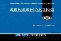 Sensemaking: A Structure For An Intelligence Revolution