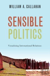 Sensible Politics