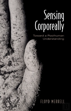 Bertrand.pt - Sensing Corporeally