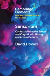 Sensorium