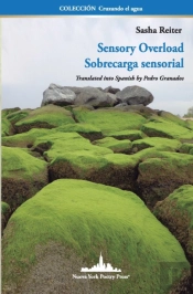Sensory Overload