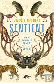 Sentient