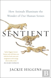 Sentient