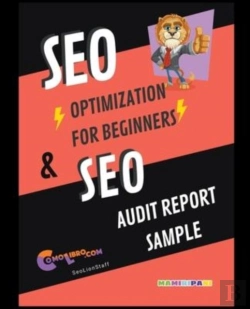 Bertrand.pt - Seo Optimization For Beginners & Seo Audit Report Sampple