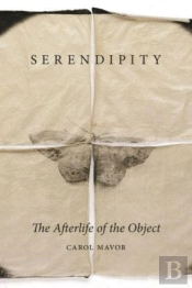 Serendipity