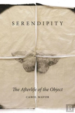 Bertrand.pt - Serendipity