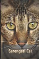 Serengeti Cat
