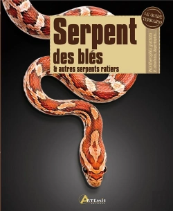 Bertrand.pt - Serpent Des Bles  Autres Serpents Ratiers