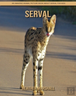 Bertrand.pt - Serval