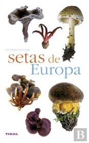 Setas De Europa