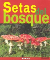 Setas Del Bosque