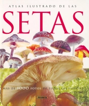 Setas