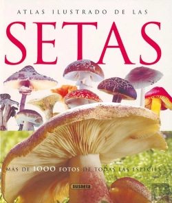 Bertrand.pt - Setas