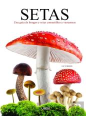 Setas