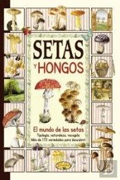 Setas Y Hongos