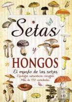 Setas Y Hongos