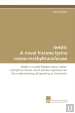 Bertrand.pt - Setd6