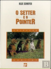 Setter e o Pointer