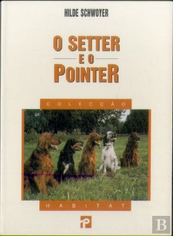 Bertrand.pt - Setter e o Pointer