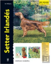 Setter Irlandés
