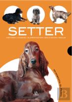 Setter