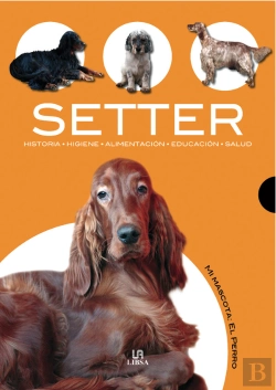 Bertrand.pt - Setter