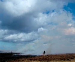 Bertrand.pt - Setting The Fell On Fire - Allenheads Contemporary Arts