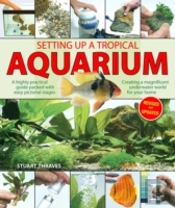Setting Up A Tropical Aquarium