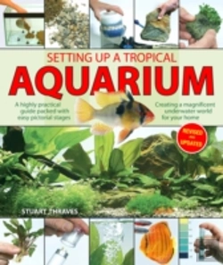 Bertrand.pt - Setting Up A Tropical Aquarium