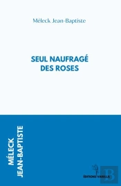 Seul Naufrage Des Roses
