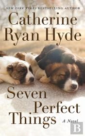 Seven Perfect Things