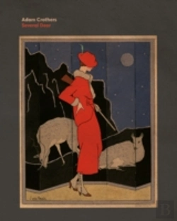 Bertrand.pt - Several Deer