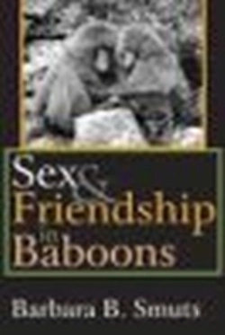 Bertrand.pt - Sex And Friendship In Baboons