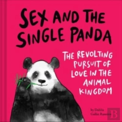 Bertrand.pt - Sex And The Single Panda