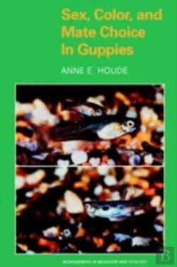 Bertrand.pt - Sex, Color, And Mate Choice In Guppies
