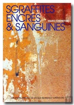 Bertrand.pt - Sgraffites, Encres Et Sanguines ; Neuf Études Sur Les Figures De L'Écriture Dans La Fiction Américaine Contemporaine