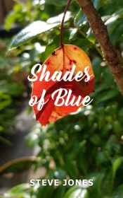 Shades Of Blue
