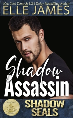 Bertrand.pt - Shadow Assassin: Shadow Seals